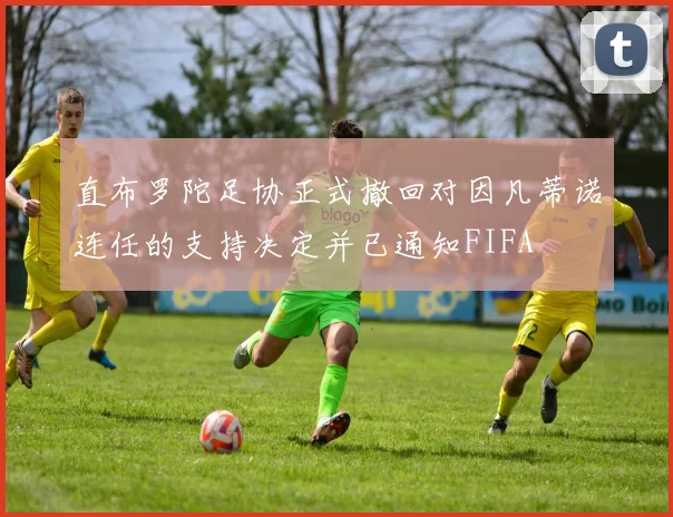 直布罗陀足协正式撤回对因凡蒂诺连任的支持决定并已通知FIFA